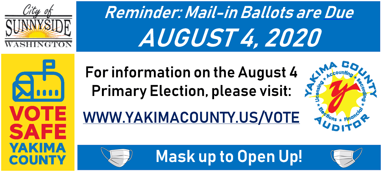 AUG BALLOT INFO