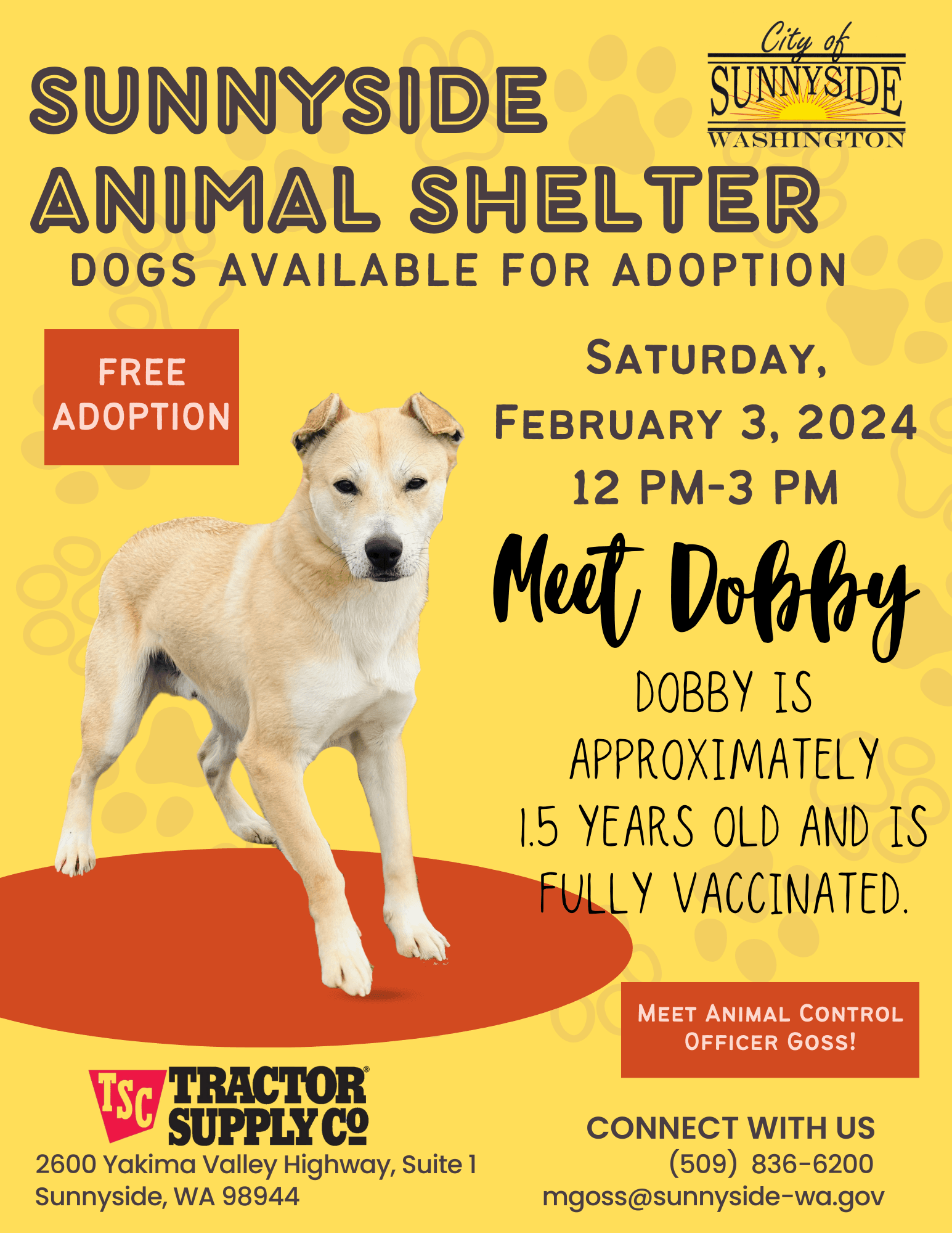 02.03.24_Adoption Flyer